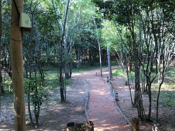 Lush Green Walkways